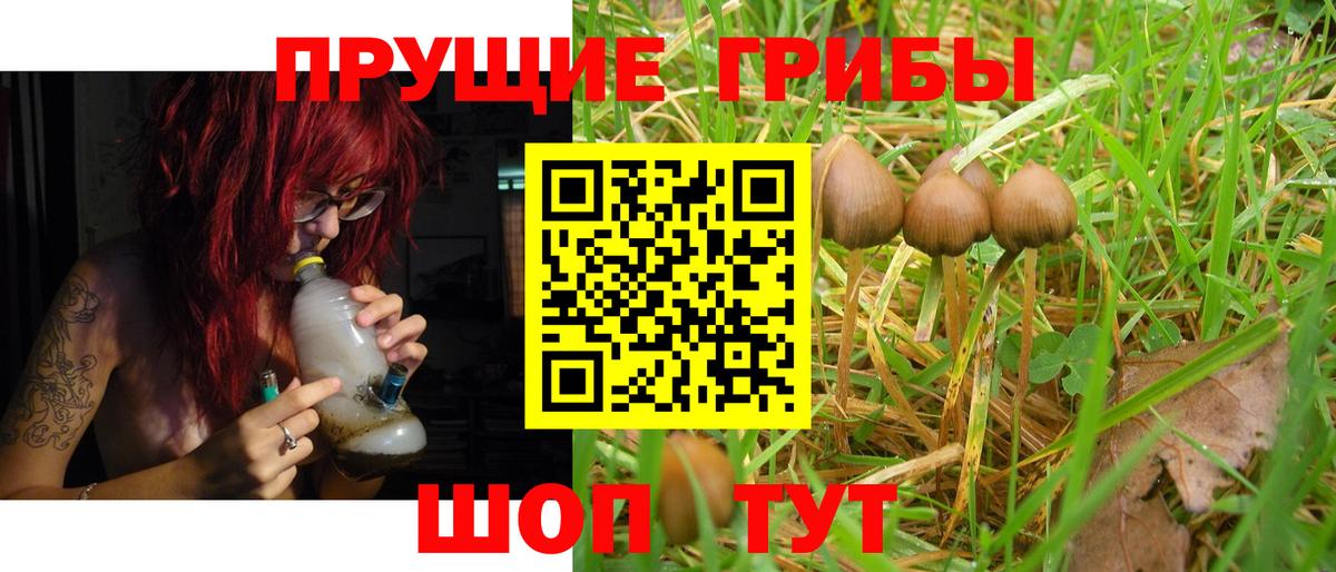 Псилоцибиновые грибы Psilocybine cubensis  Вход с VPN  Амурск 