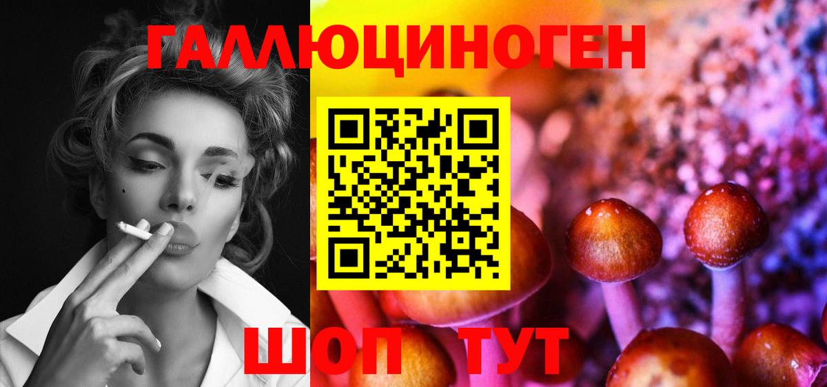 Псилоцибиновые грибы Psilocybe Амурск